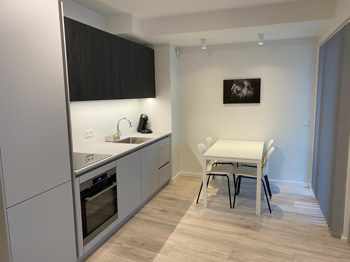 Laugavegur Apartment Reykjavík Esterno foto